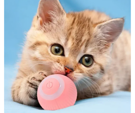 PELOTA INTERACTIVA DE GATOS